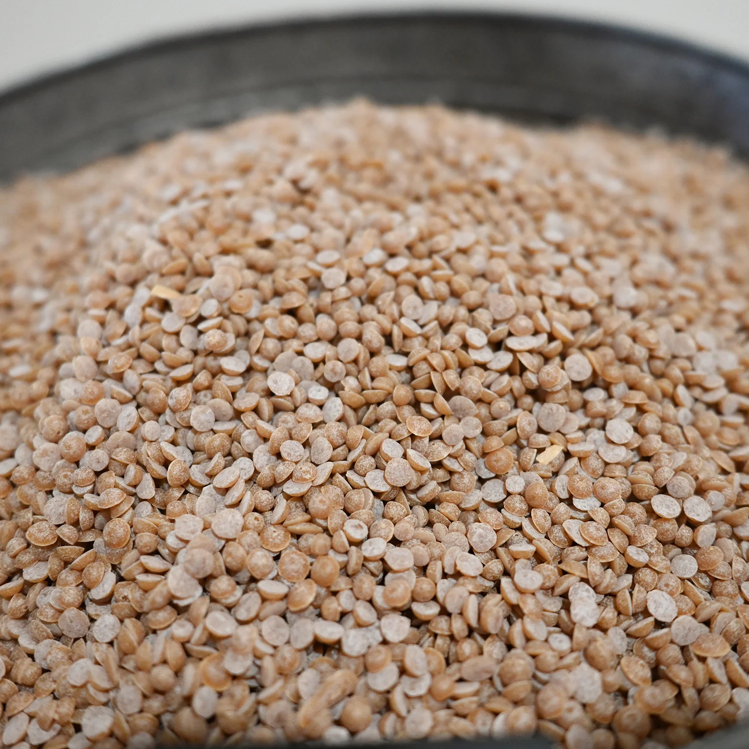 Balsam & Cedar Wax Scented Beads Refill | 2 lb