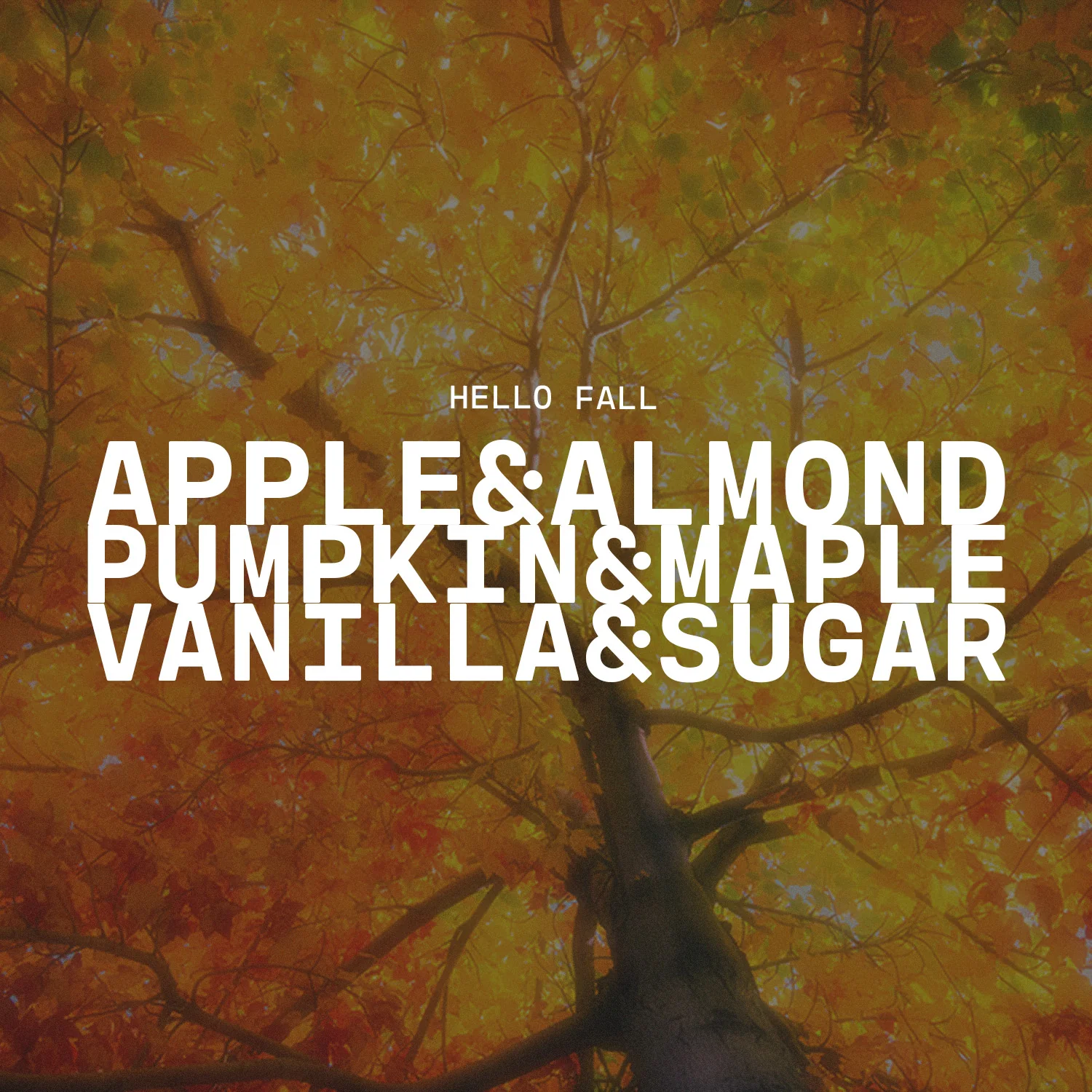 Hello Fall Candle | 13 oz Mason Jar - Image 2