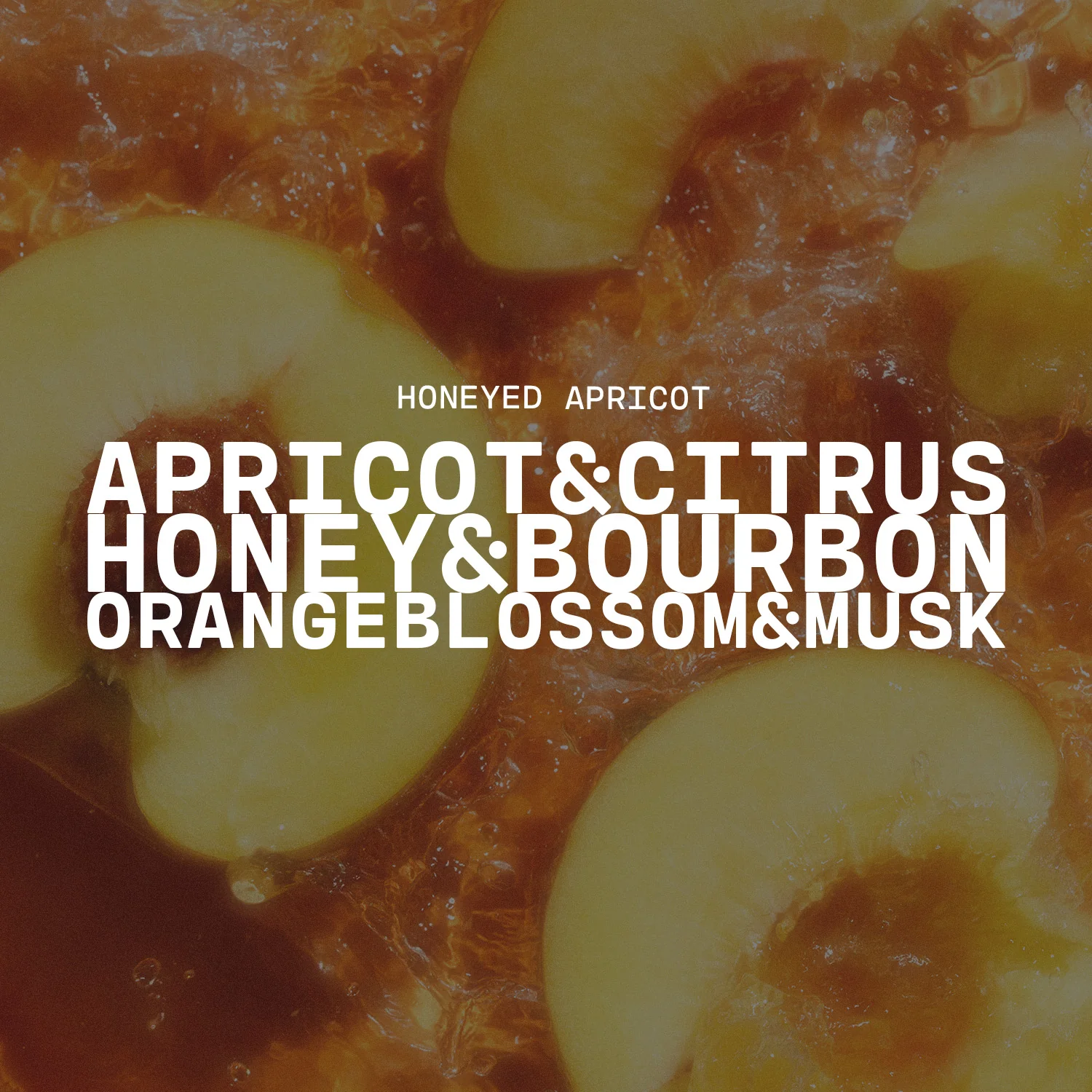 Honeyed Apricot Candle | 5 oz Cream Jar - Image 2