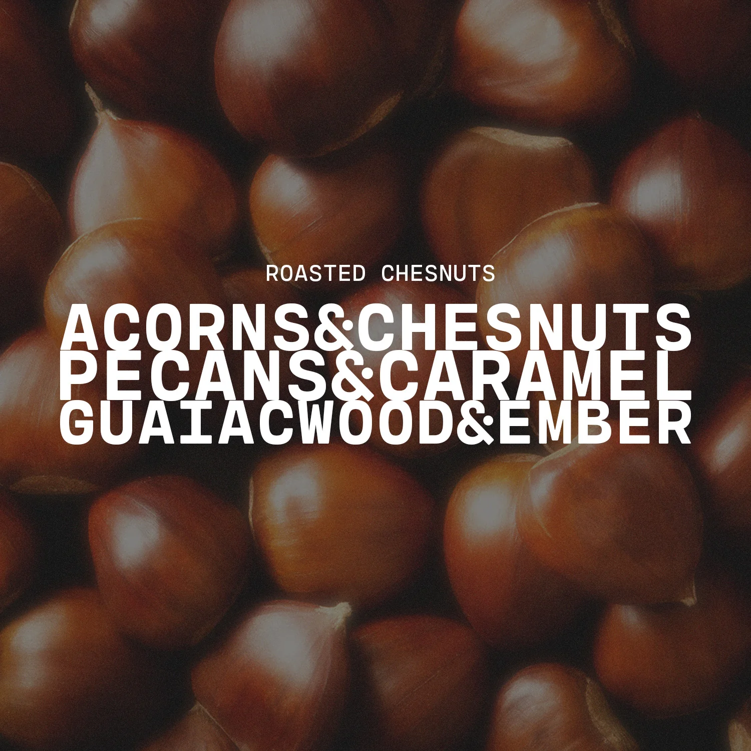 Roasted Chestnuts Candle | 5 oz Cream Jar - Image 2